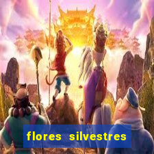 flores silvestres desbravadores desbravadores 25